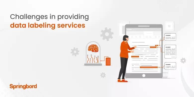 Challenges in providing data labeling services