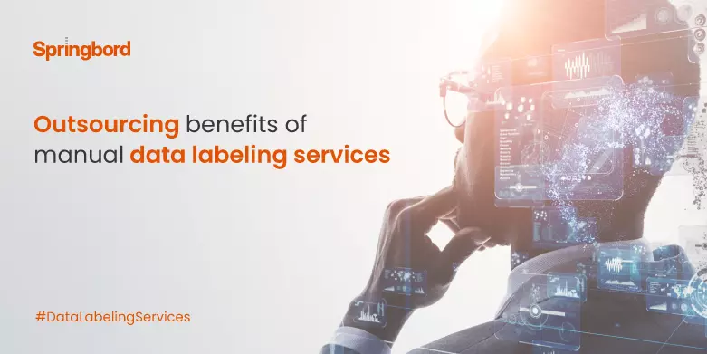 Outsourcing benefits of manual data labeling services