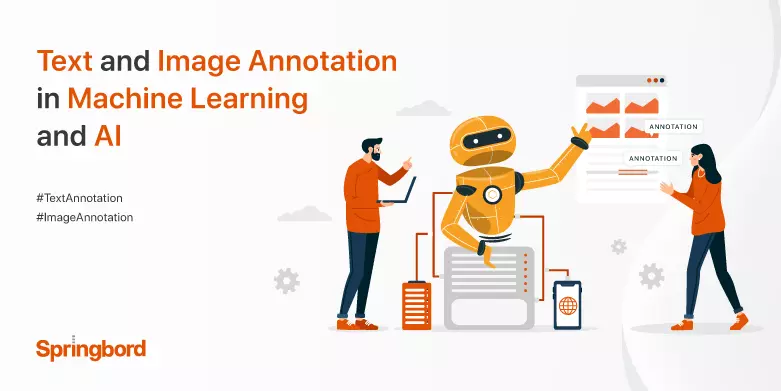 Text and Image Annotation in Machine Learning and AI